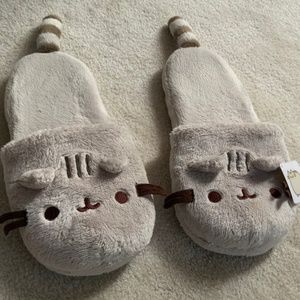 Pusheen Slippers